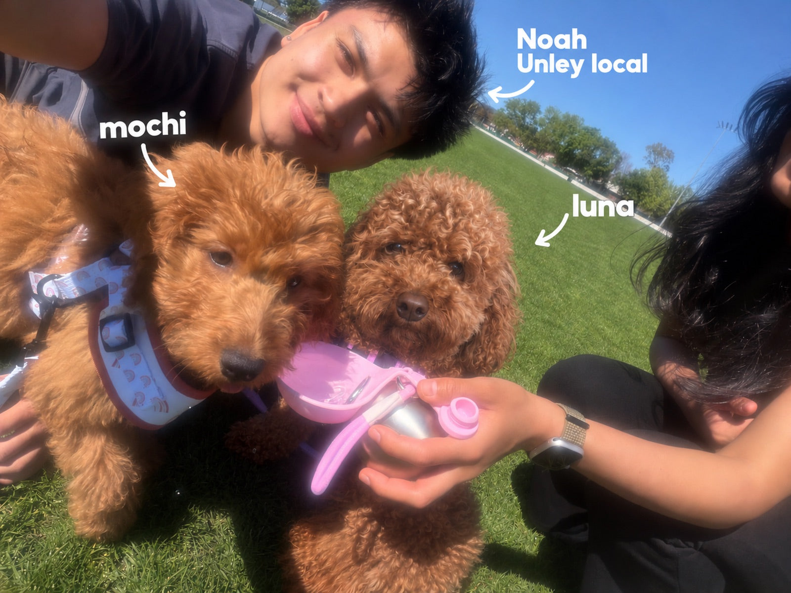 Noah with his dogs Mochi and Luna